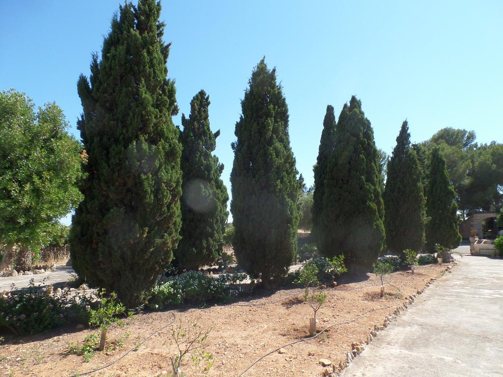 Sa Bassa Crua Bauernhof